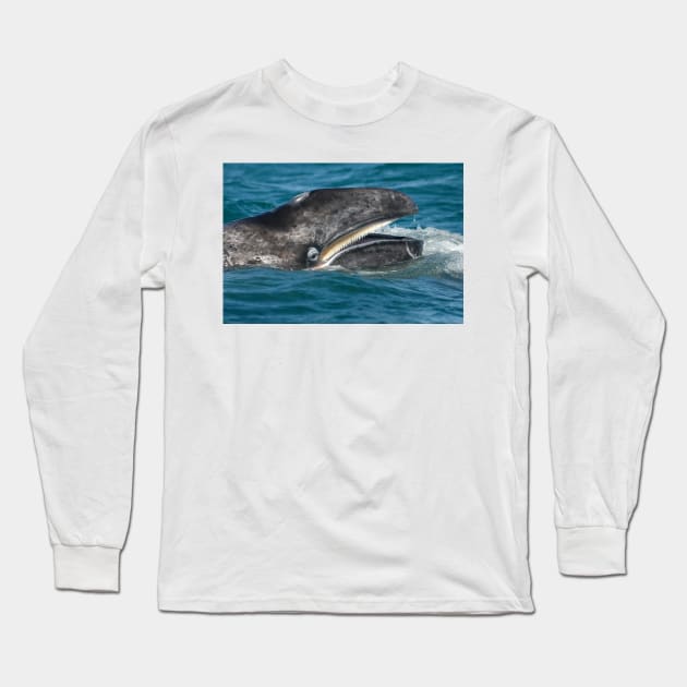 Grey whale (C007/3010) Long Sleeve T-Shirt by SciencePhoto